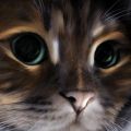 КОТ  Владимир