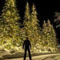 Вальдемар Черепанов