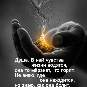 ПАМЯТЬ ДУШИ