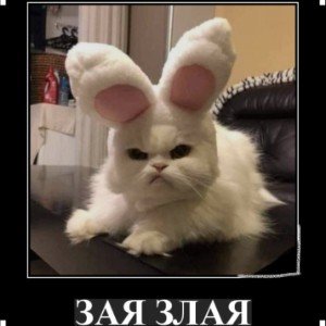 😂Памятка для мужчин