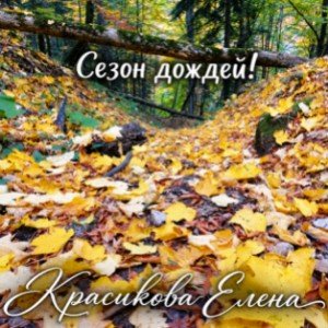 Сезон дождей (ст. Красиковой Елены)