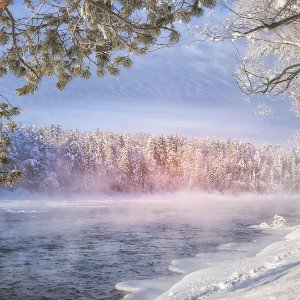 Королева Снежная