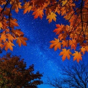 Только осенью (Tantum autumno)