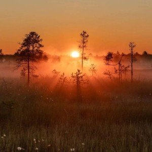 Проснулась с лучиком в руках.