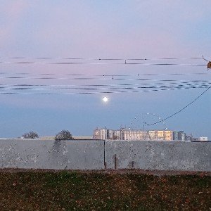 Ария горошины из мюзикла Принцесса на горошине. (Edit)