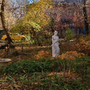 Дикие Коты -осень берегись