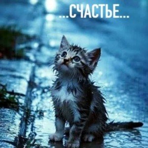 Он шёл по улице и тихо плакал.  ( Стихи Ольги  Николаевой)