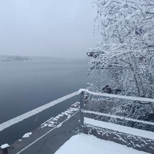 Жизнь