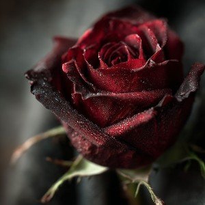 Наверно я