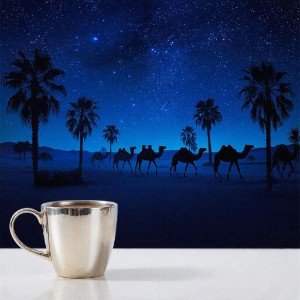 Taste of Arabia