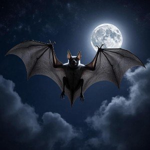 The Ballad of Vlad Dracula