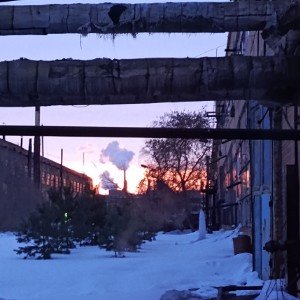 Зимняя