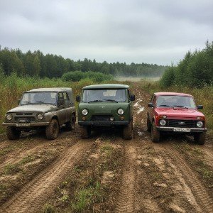 Вывози