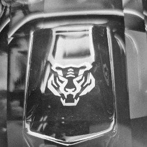 Black tiger