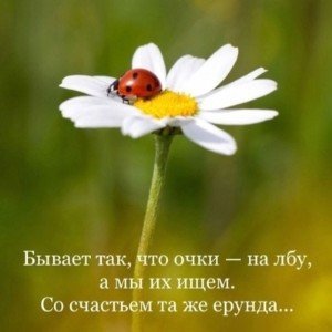 Мольба