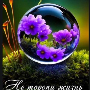 Моя любовь (Edit)