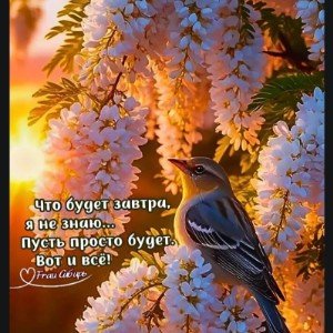 Несбыточная любовь