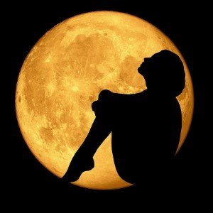 The moonlight dance
