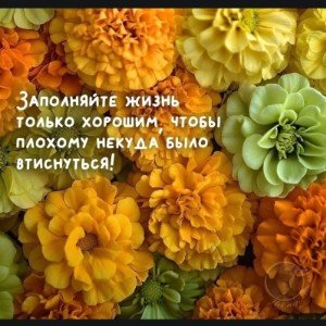 Мои серые будни
