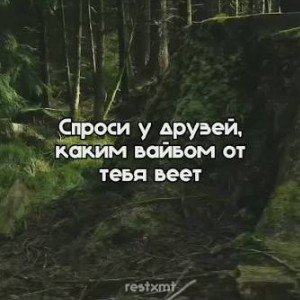 Низкий вайб