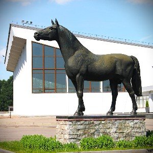 Жил-был Конь