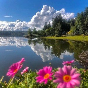 Летний день