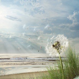 Aleksey Chumak - Running summer air