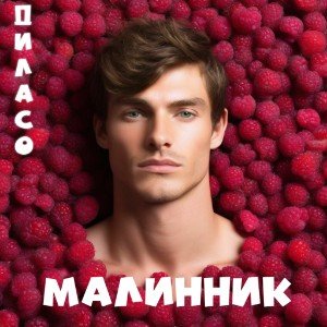 Малинник