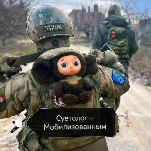 Мобилизованным