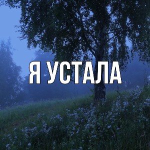 Я не сломалась.