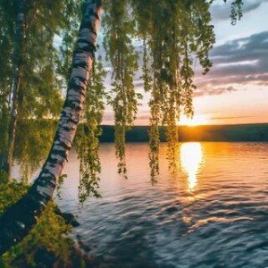 Грусть по родным местам