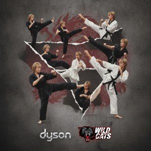 DIESON  и Дикие Коты -синти