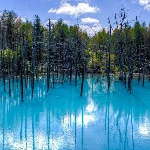 Ночной Водоворот🌪️