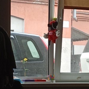 А мы дождёмся весны 8 август