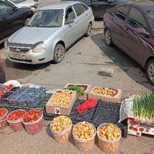 Вот и лето прошло