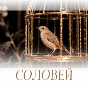Соловей