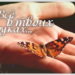 Контроль ума-брат