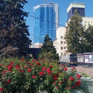Нам стало скучно в городе