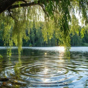 Тайна воды
