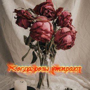 Когда розы умирают