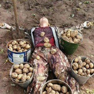 Сельская осень