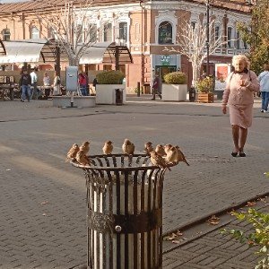 Вот и лето прошло