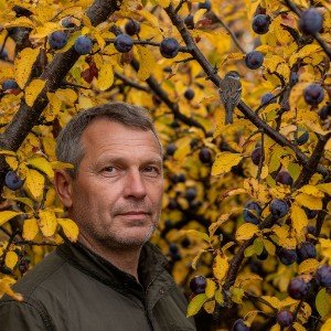🐦 Романс о воробьях 🐦          продолжение