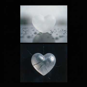 Plastic Heart