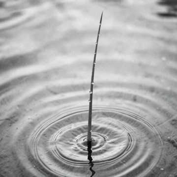 River_1