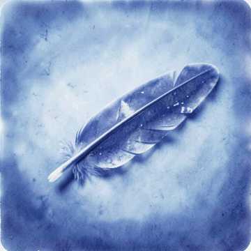 39.Мой ангел - сл. Виктор Щепетков (Edit)