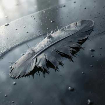 les ailes de l'amour