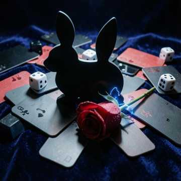 Alice_1lub
