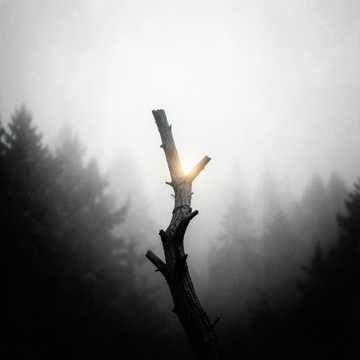 Light and dark