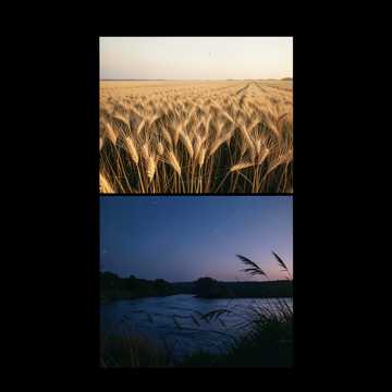 Ветры Кубани